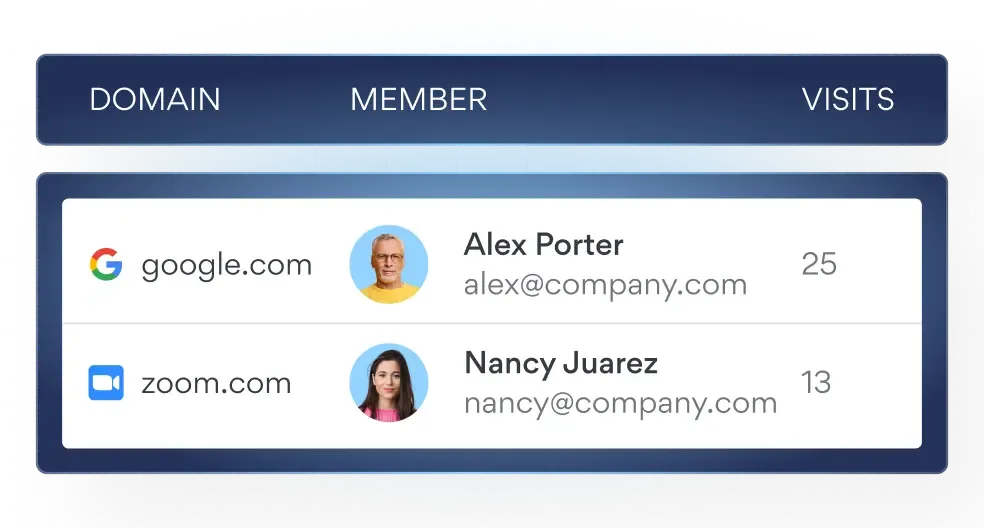 Domain visibility for monitoring employee work activity and risk detection