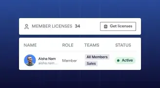Member licenses dashboard showing team member details and active status